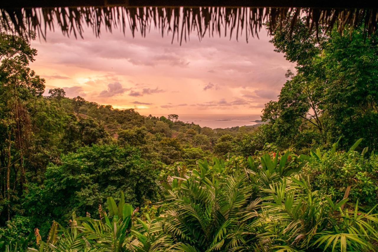 Selva Armonia Immersive Jungle Resort Увита Екстериор снимка